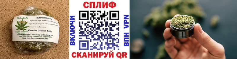 Cannafood марихуана  Купить закладки  Жиздра 