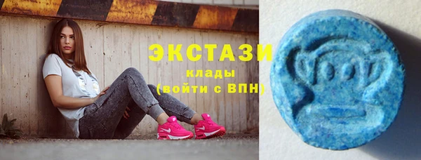 ешки Новодвинск