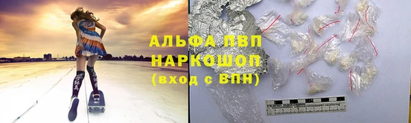 ешки Новодвинск