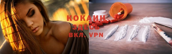 ешки Новодвинск