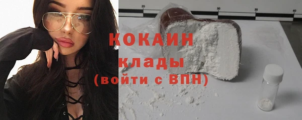 ешки Новодвинск