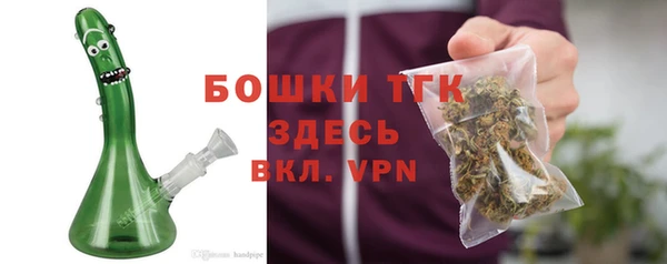 apvp Новозыбков