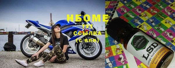 ешки Новодвинск