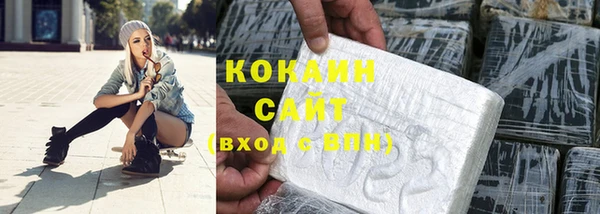 ешки Новодвинск