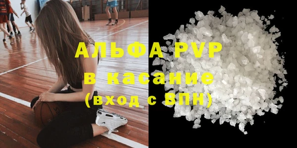 ешки Новодвинск
